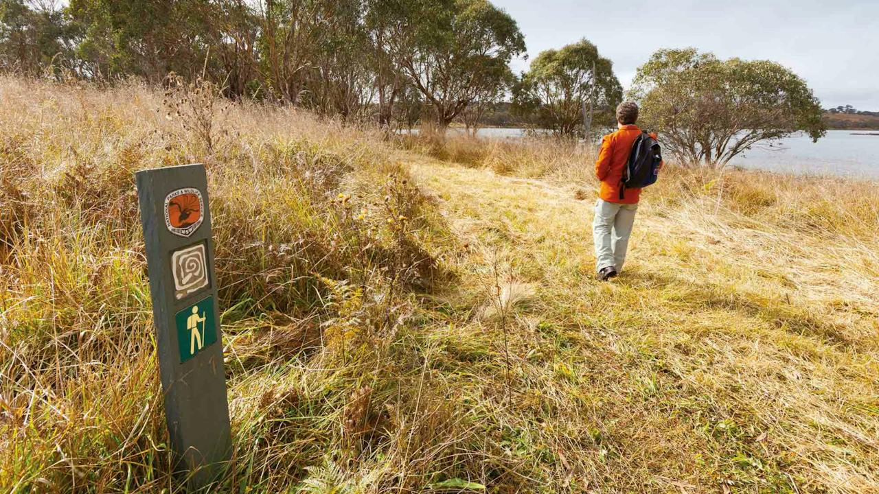 Lagoon Circuit Walking Track