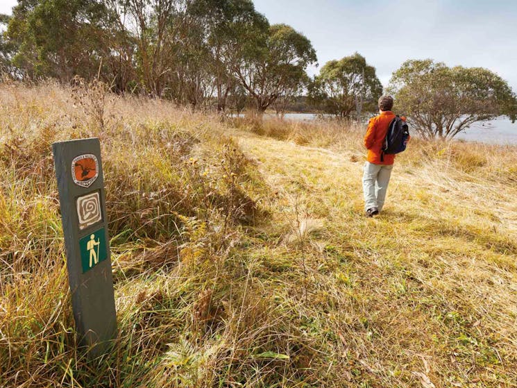 Lagoon Circuit walking track, Little Llangothlin Nature Reserve. Photo: Rob Cleary