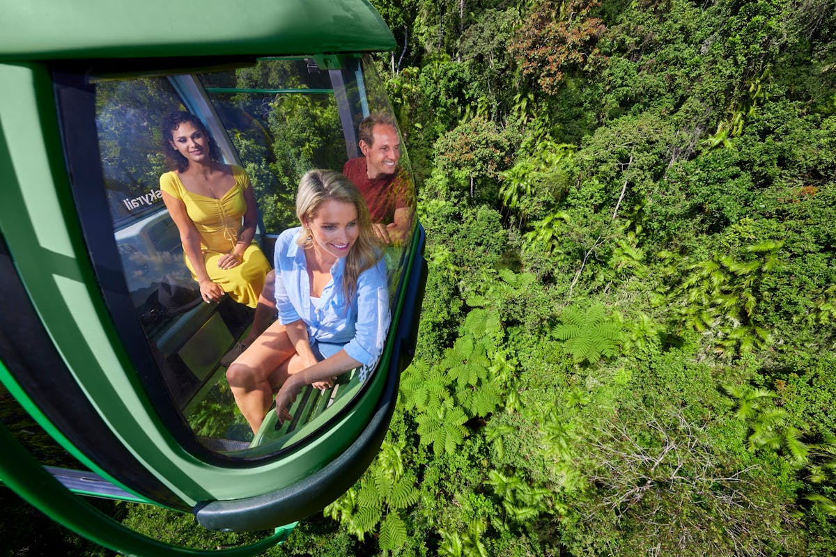 3 people in gondola looking over the rainforest