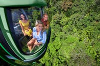 3 people in gondola looking over the rainforest