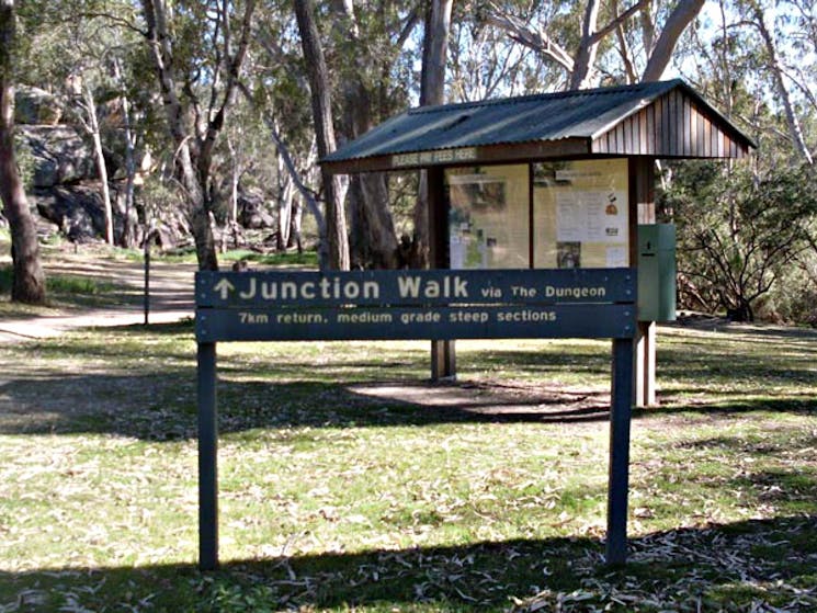 Junction walk, Kwiambal National Park. Photo: NSW Government