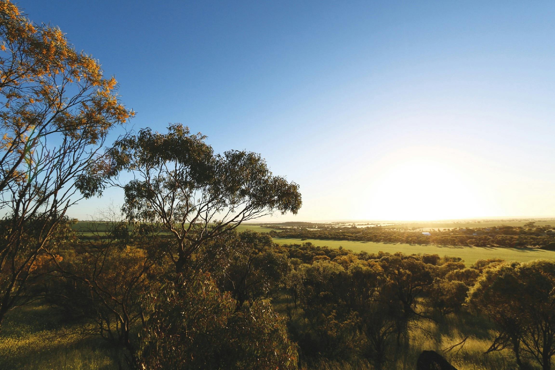 Mingenew Hill