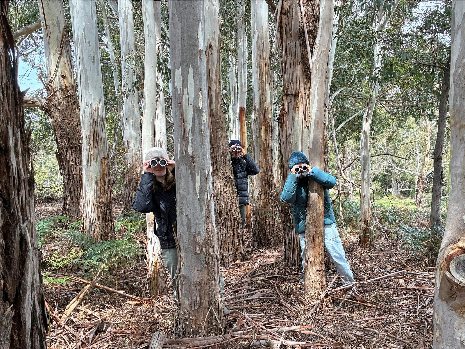 Wild after dark image