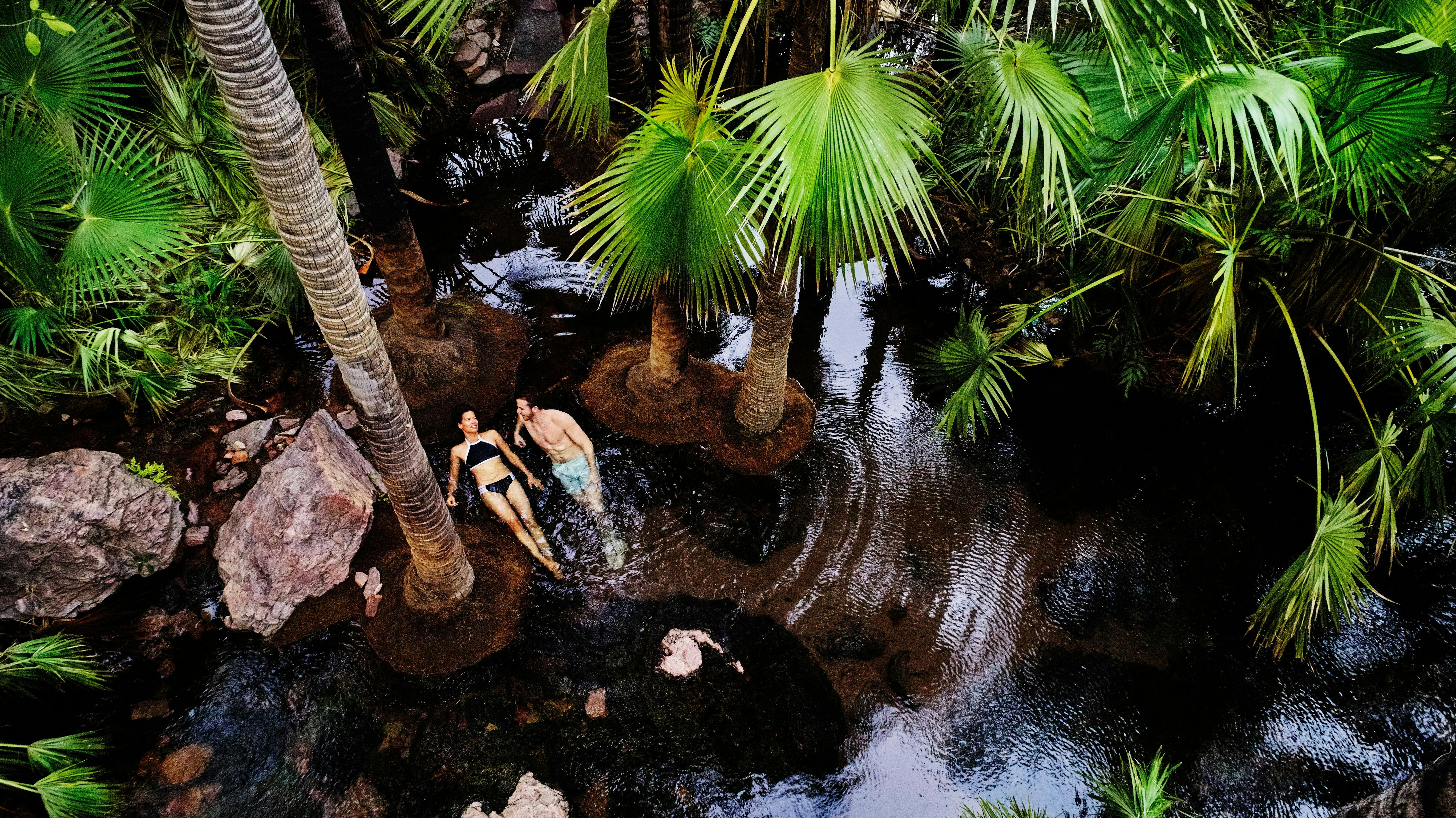 Zebedee Springs