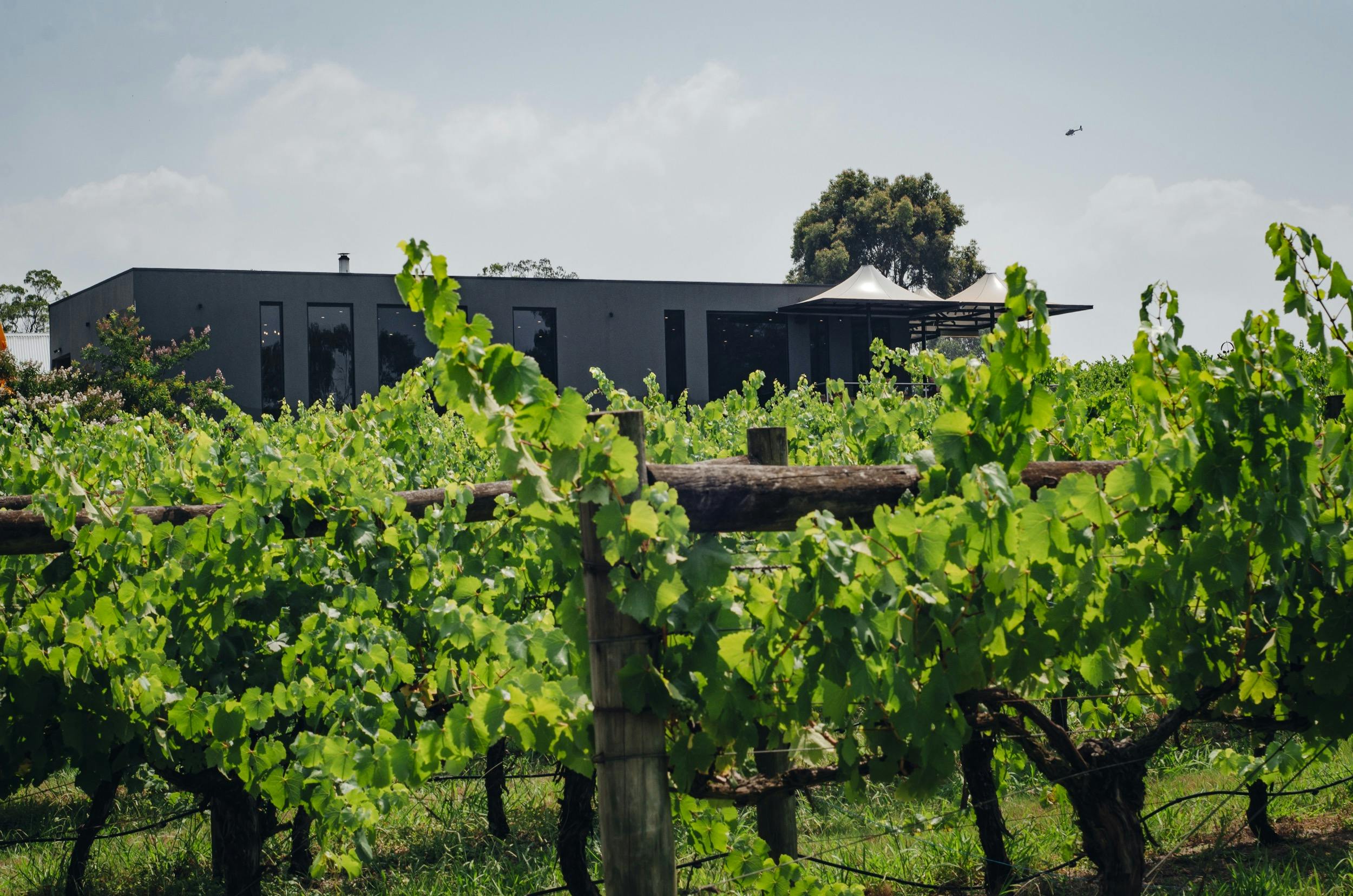 Many Hands Winery