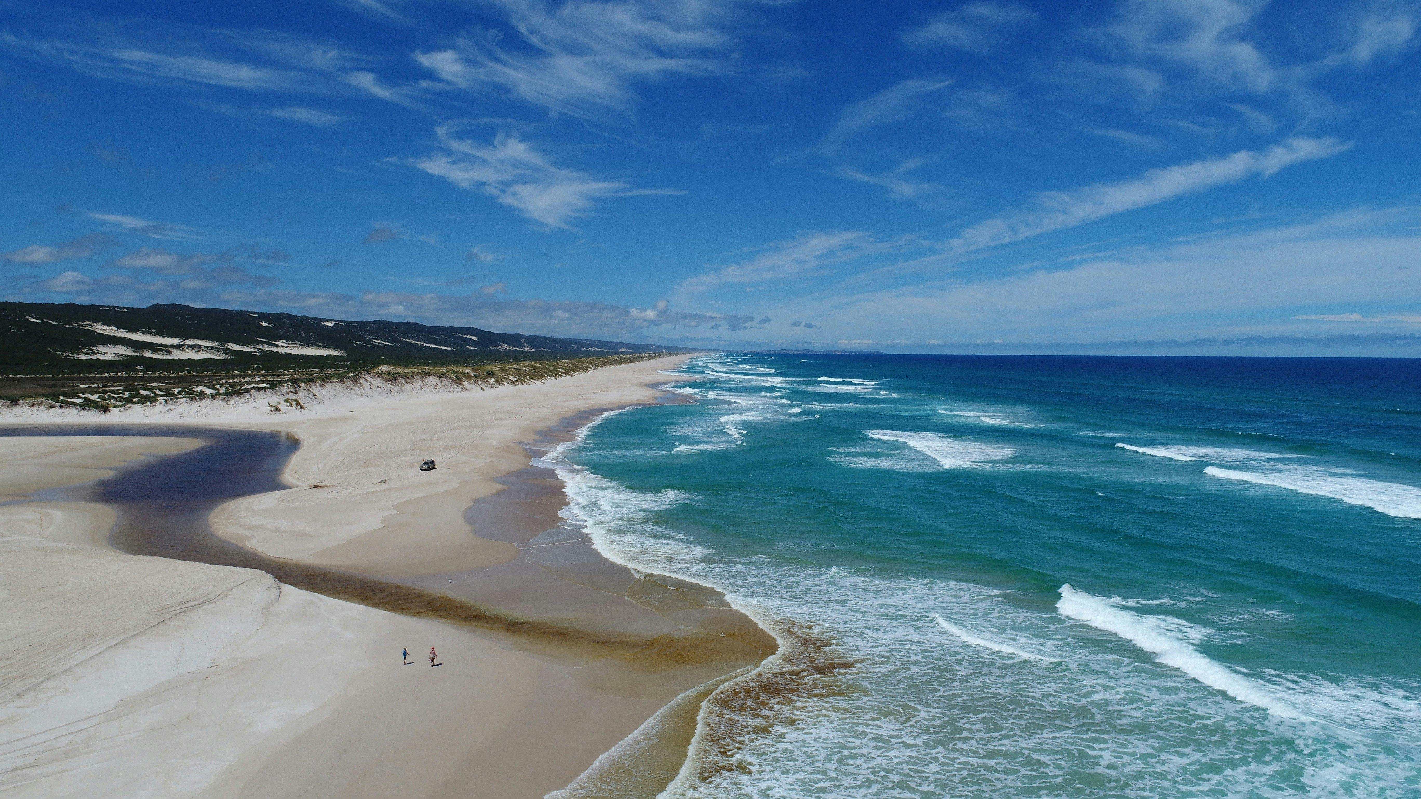 Pemberton Discovery Tours, Pemberton, Western Australia