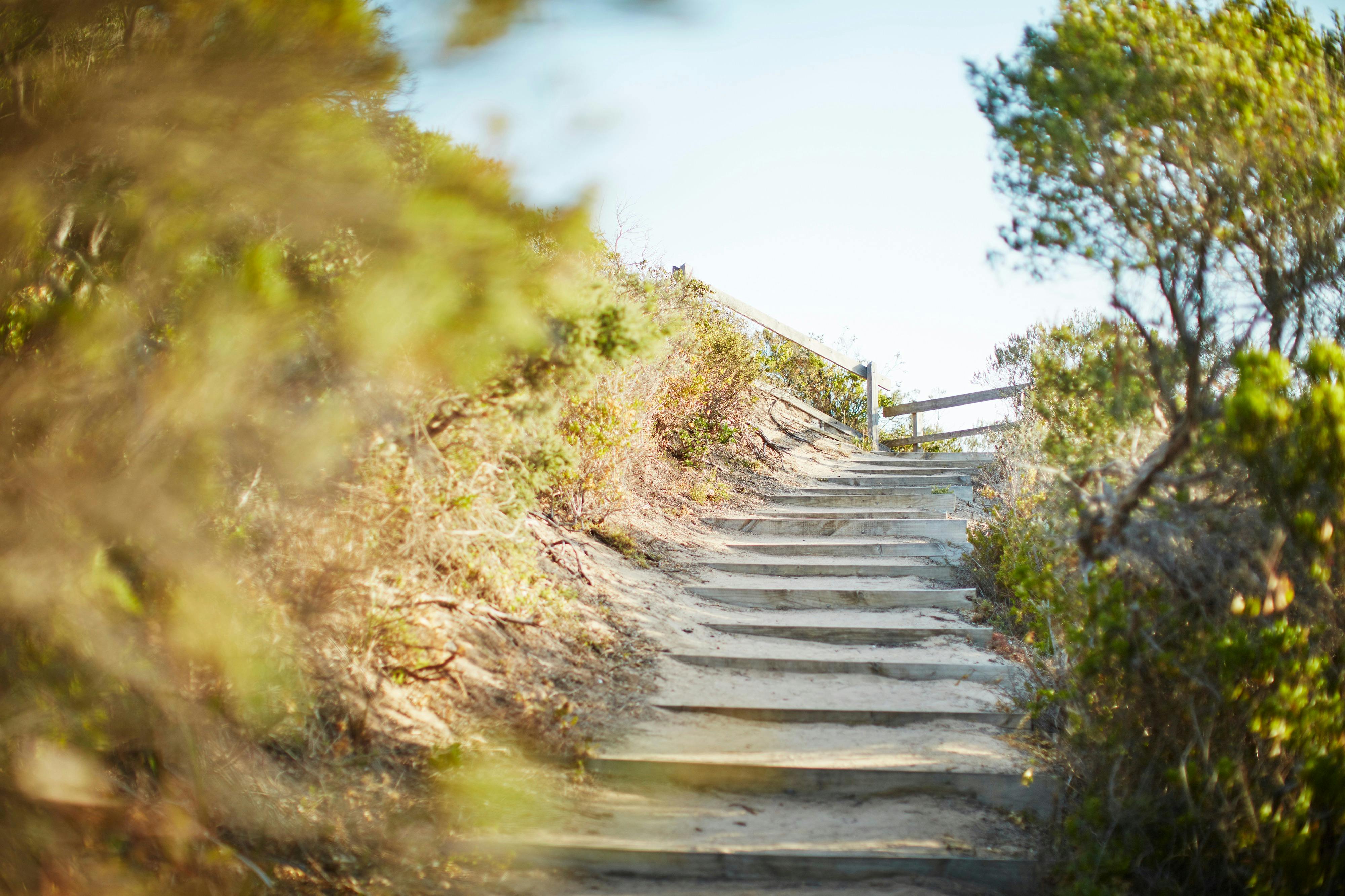 Coppins Walk Track, Sorrento, part of The Coastal Walk