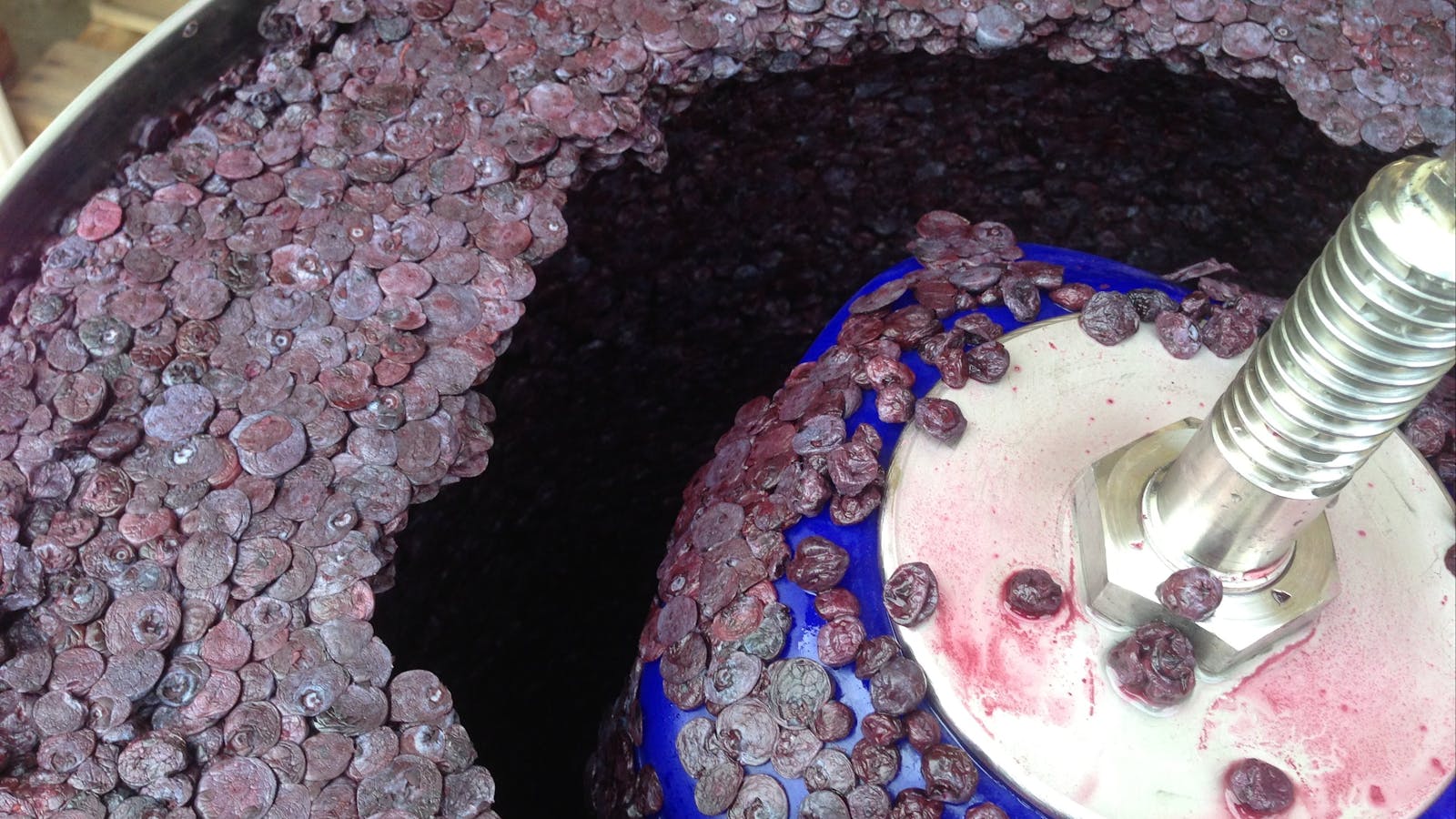 Badger Creek Blueberry Winery