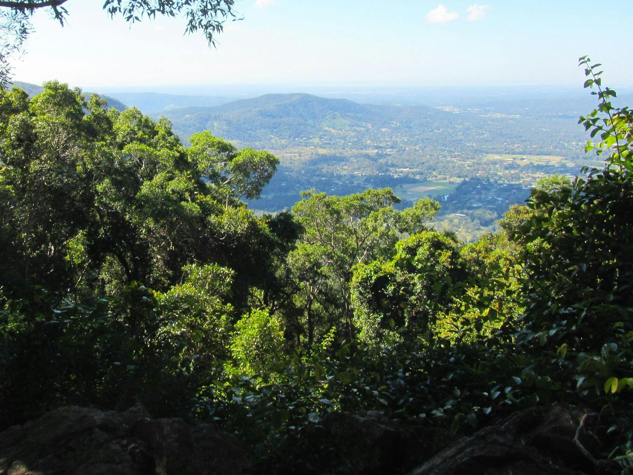 View over tree tops into a valley.