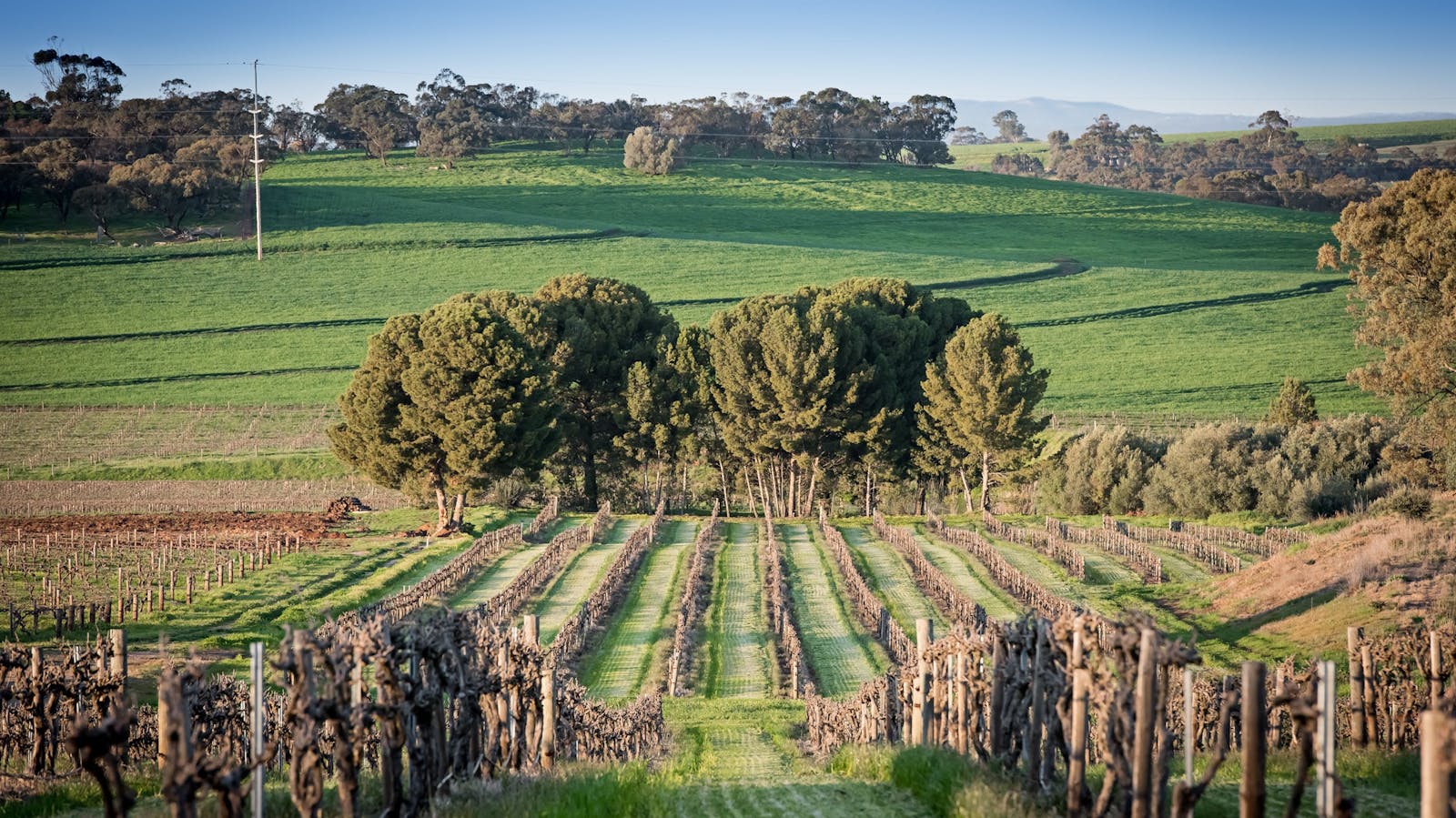Heritage Wines