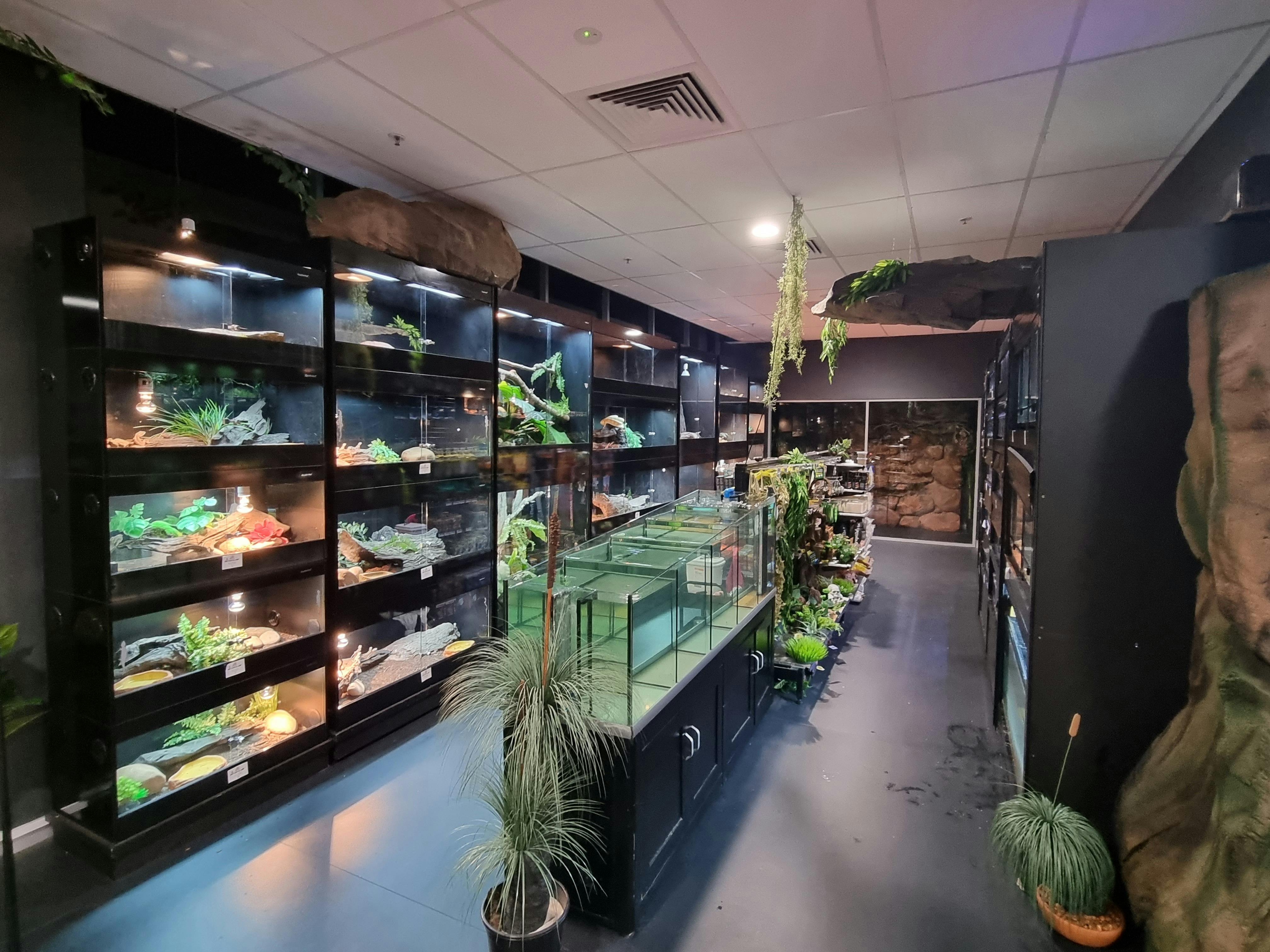 Petacular reptile room