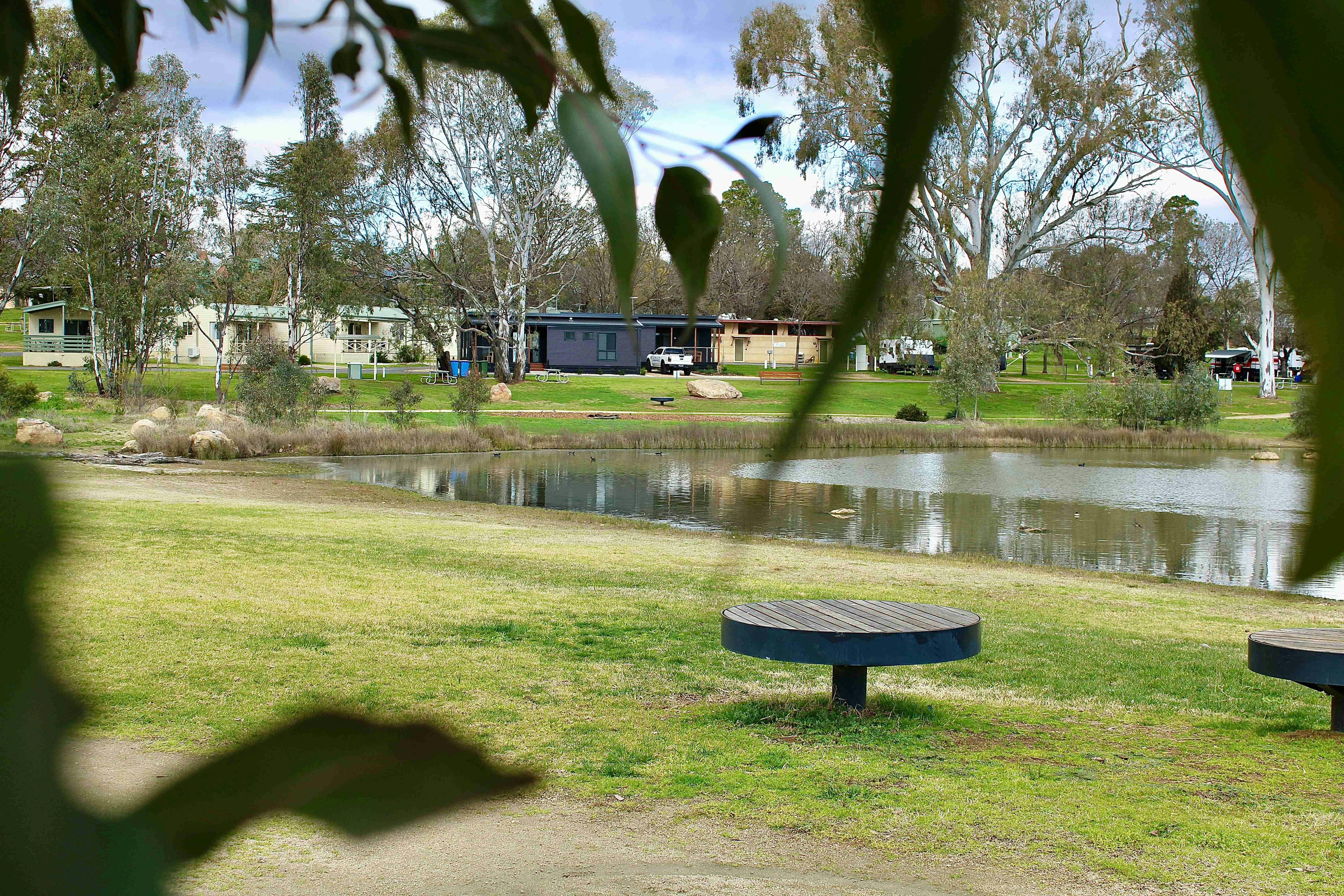 View of park from Lake King Wetlands
