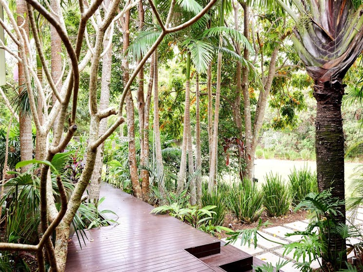 Bamboo rainforest, spring-fed dam & zen garden