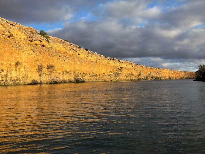 Big Bend By Night