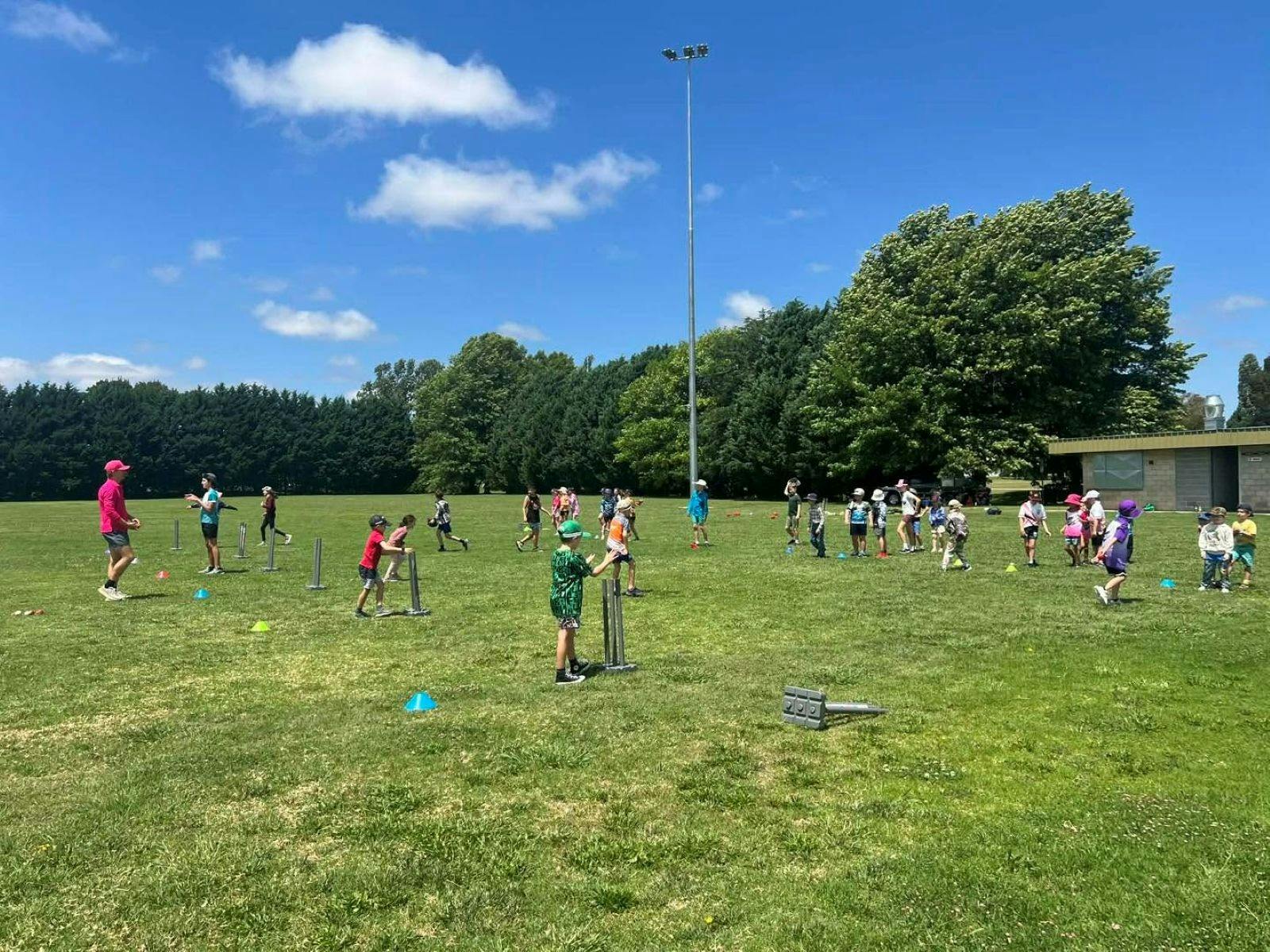 Cricket Bash