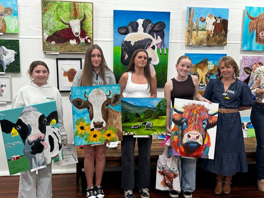Cow Art