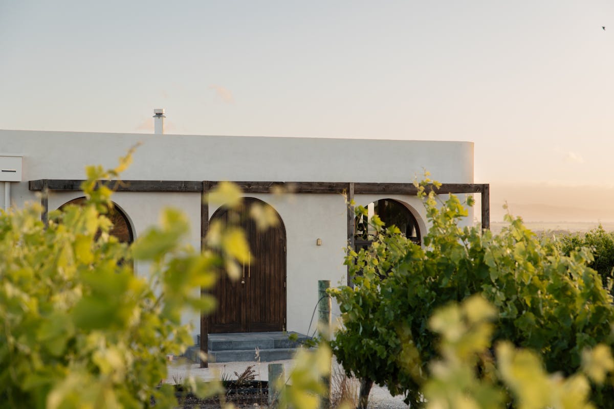Nestled amongst the vines, our retreats immerse you into the wine region of McLaren Vale.