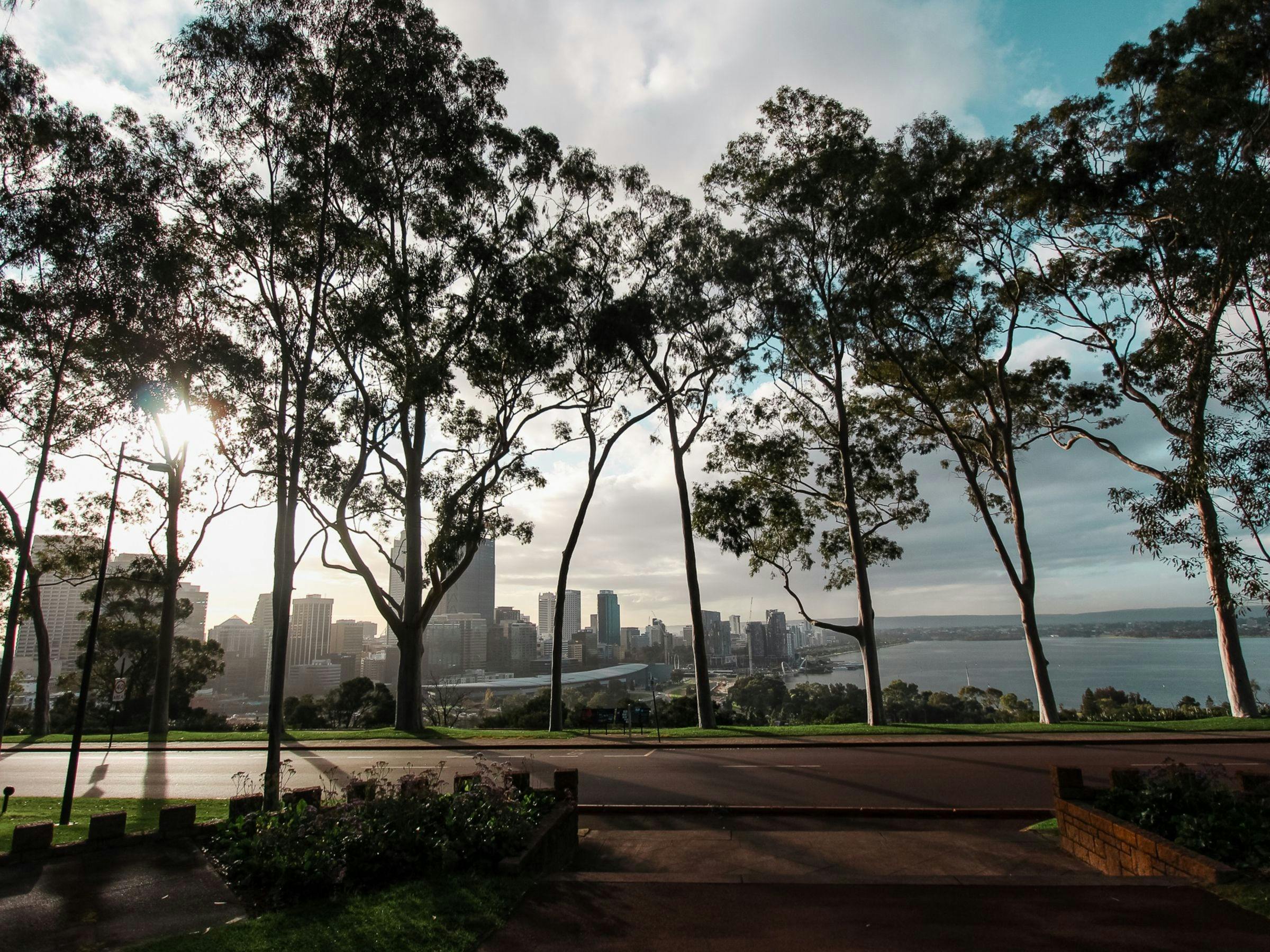 Kings park river view