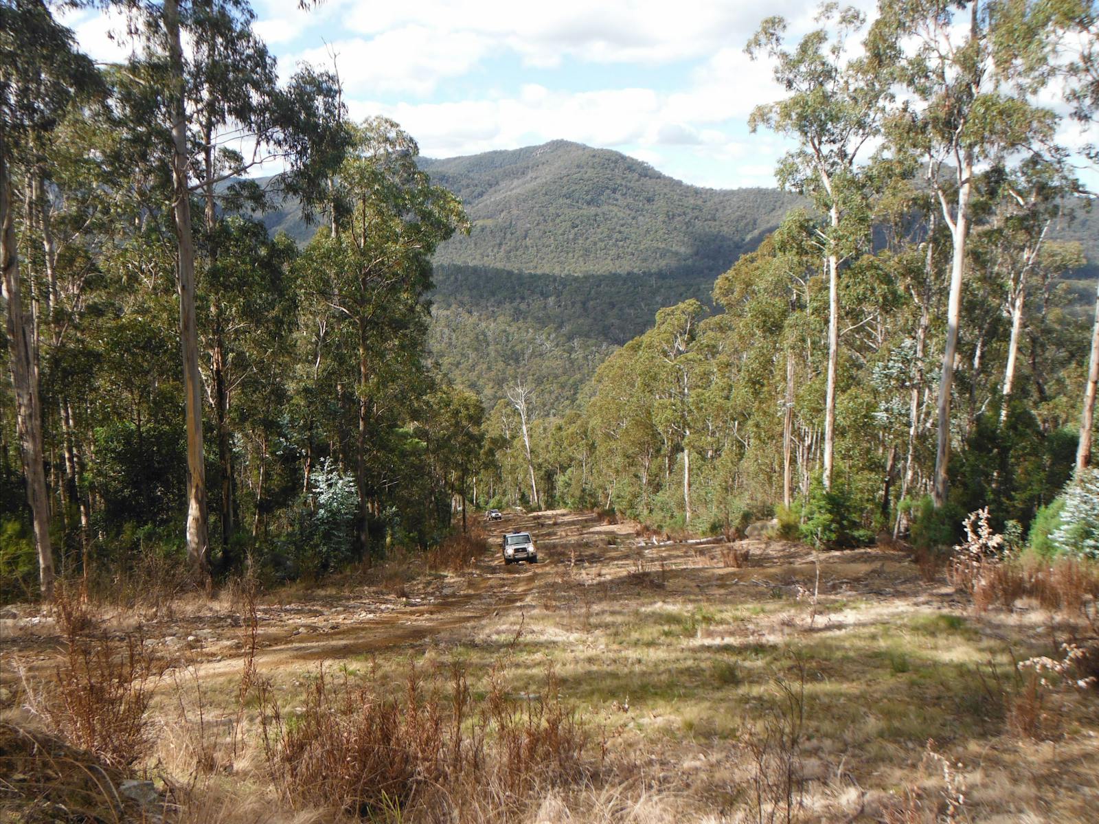 Cann River