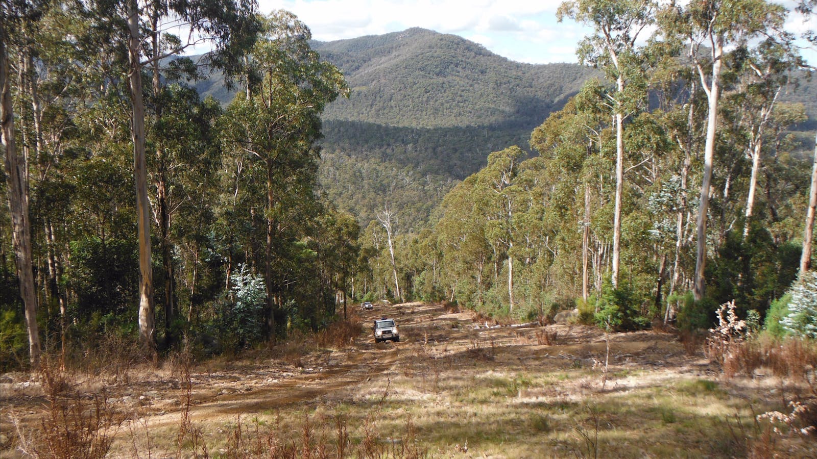 Alfred National Park