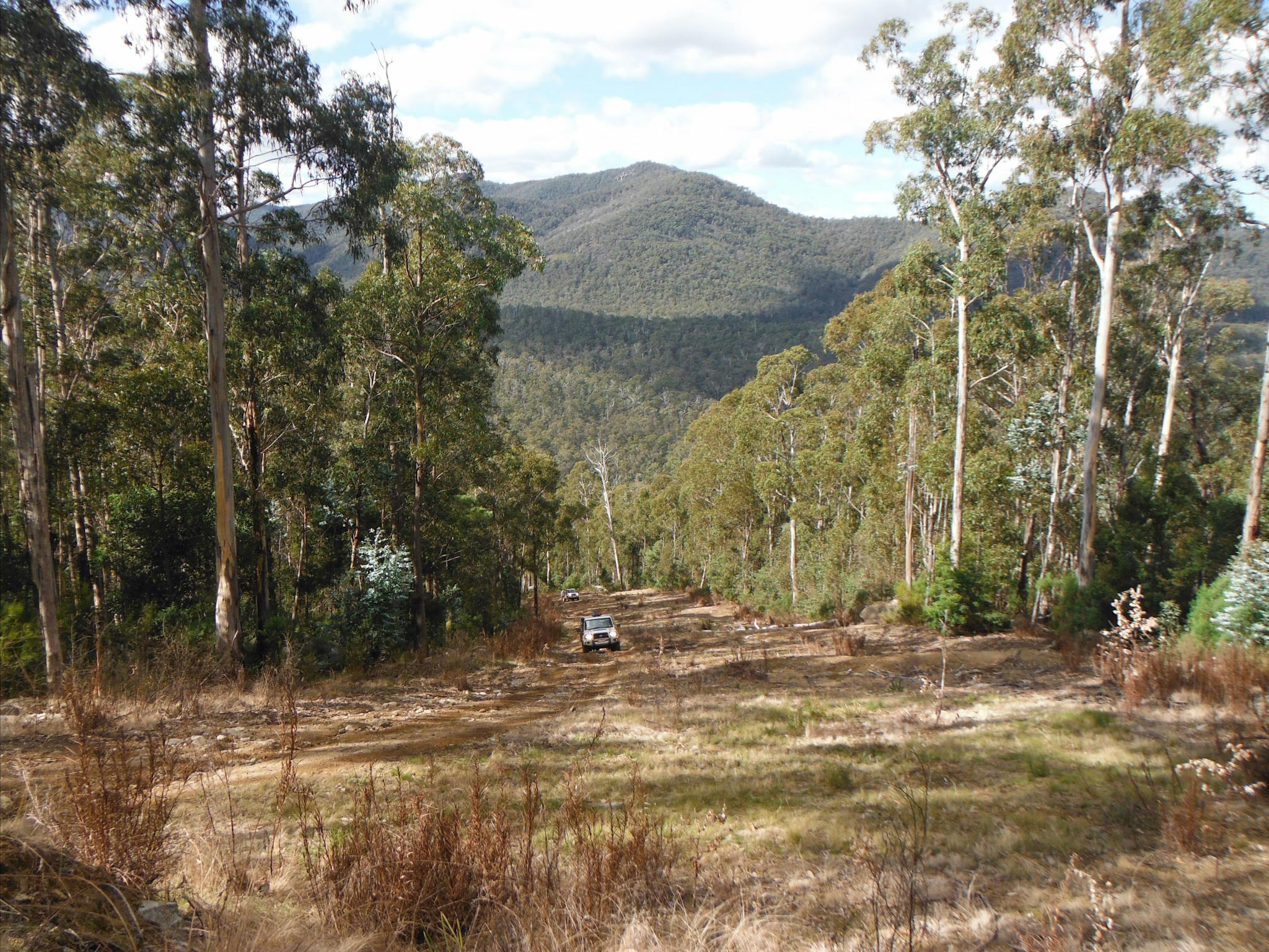 Cann River
