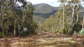 Cann River