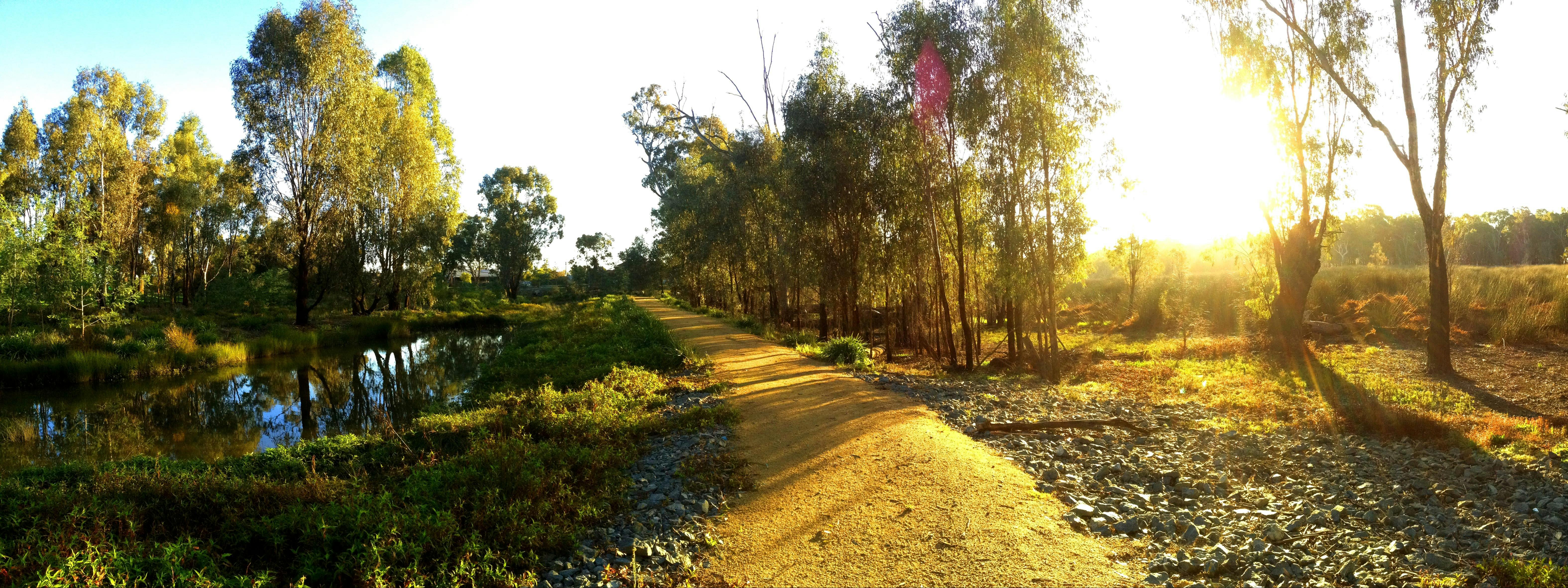 Gemmill Swamp walking trails