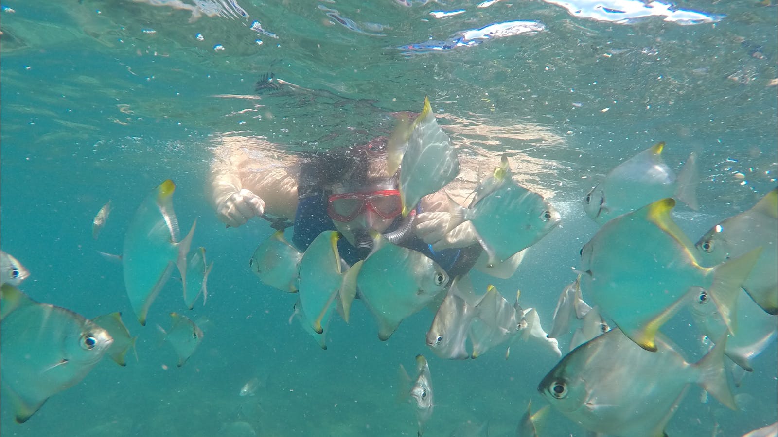 Australian Kayaking Adventures