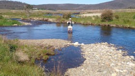 Fly Fishing Tumut