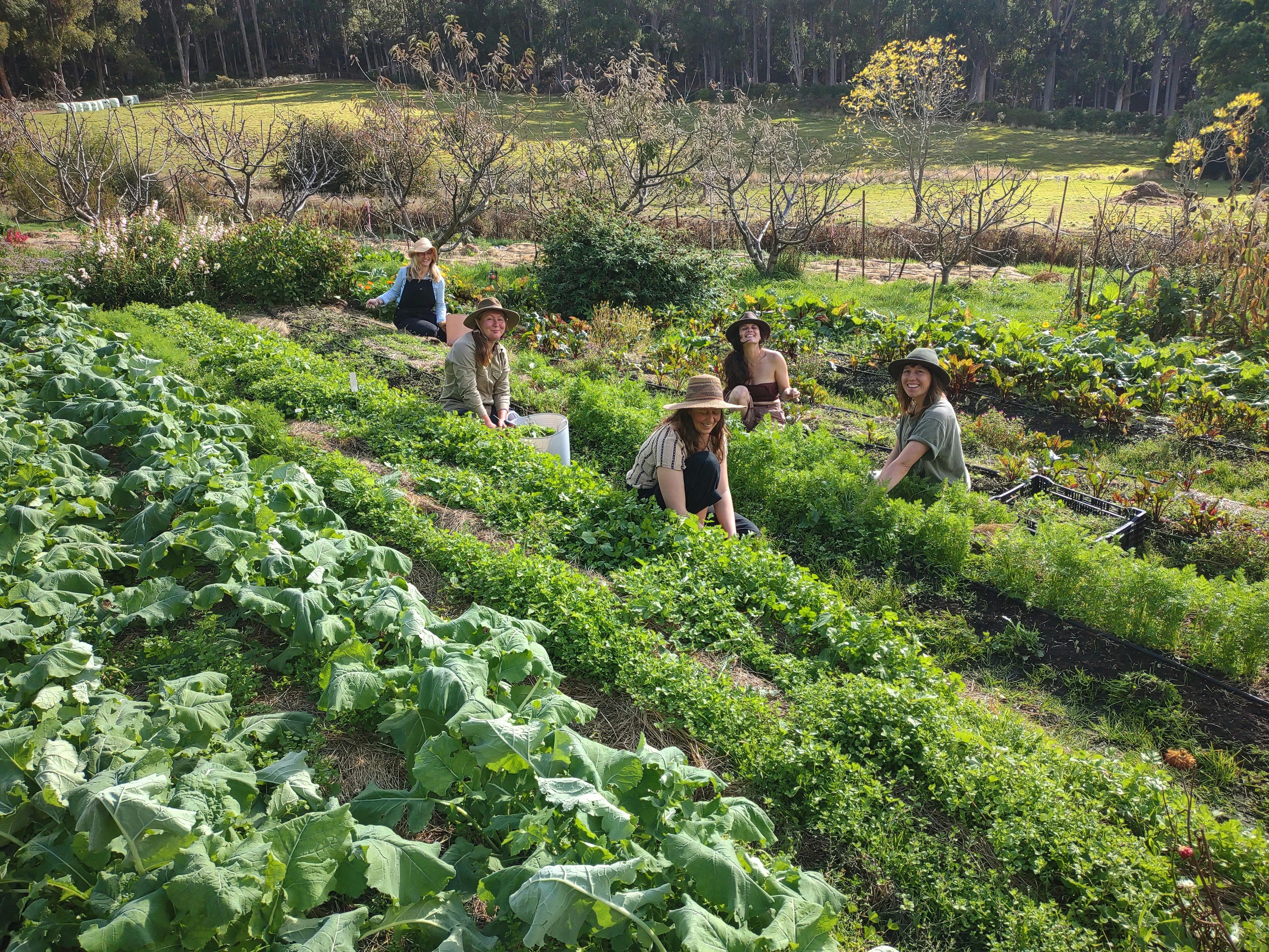 Community Garden Volunteerss