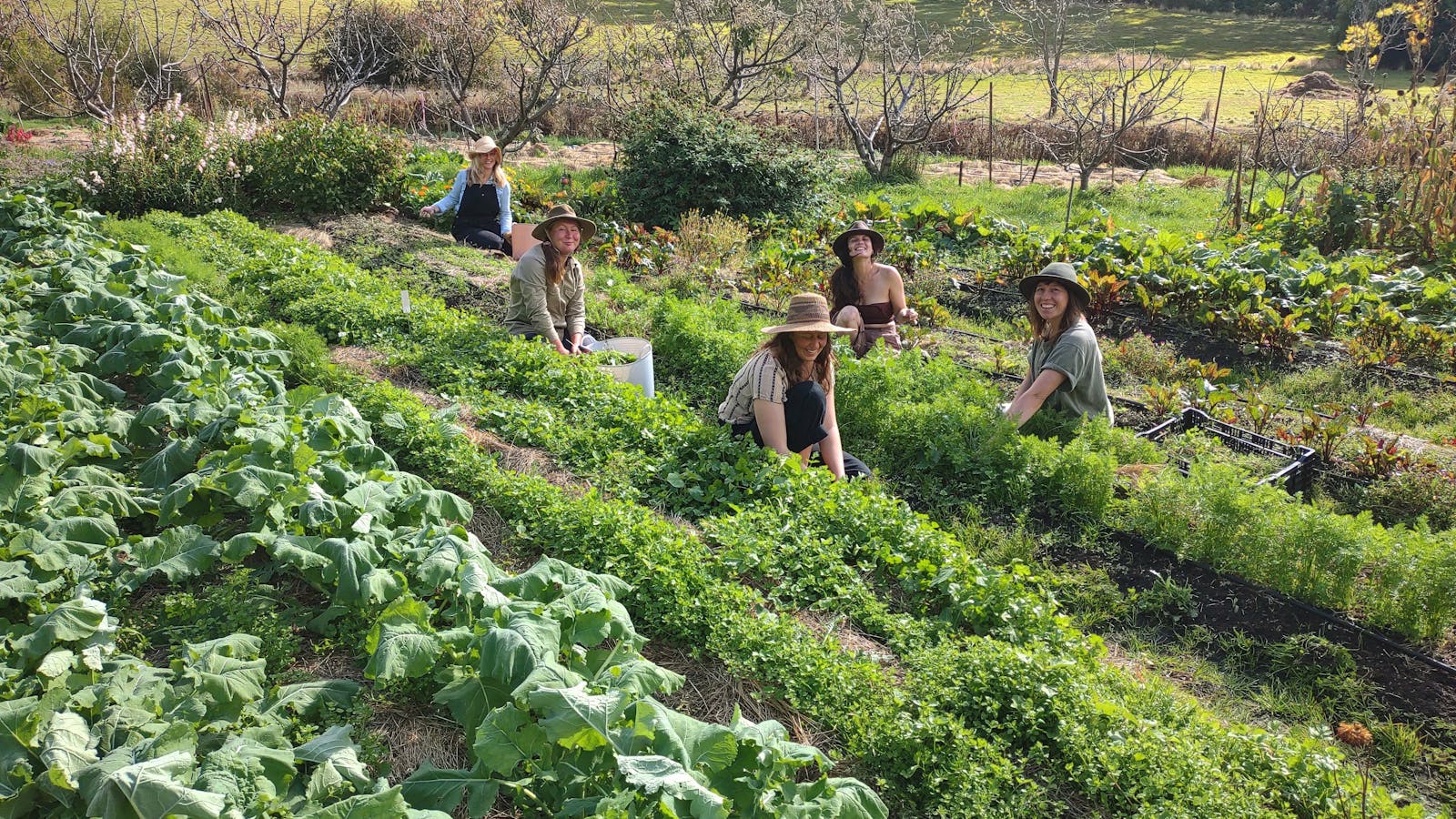 Community Garden Volunteerss
