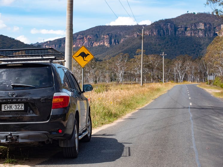 Car near kangaroo sign
