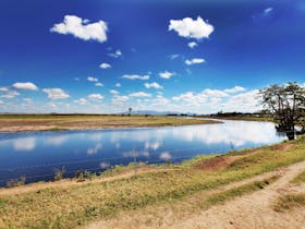 Palm Creek