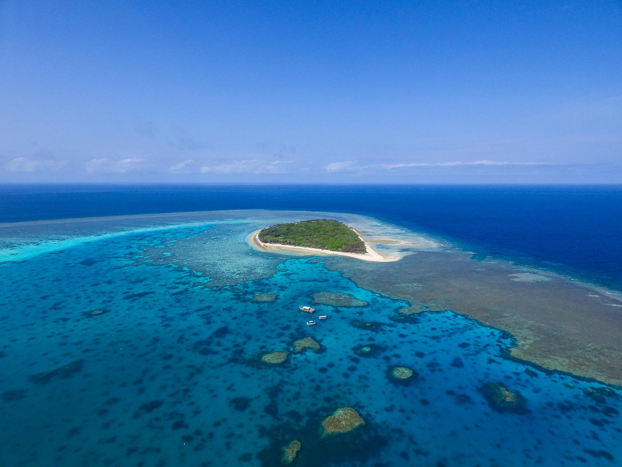 Lady Musgrave Island and Logoon