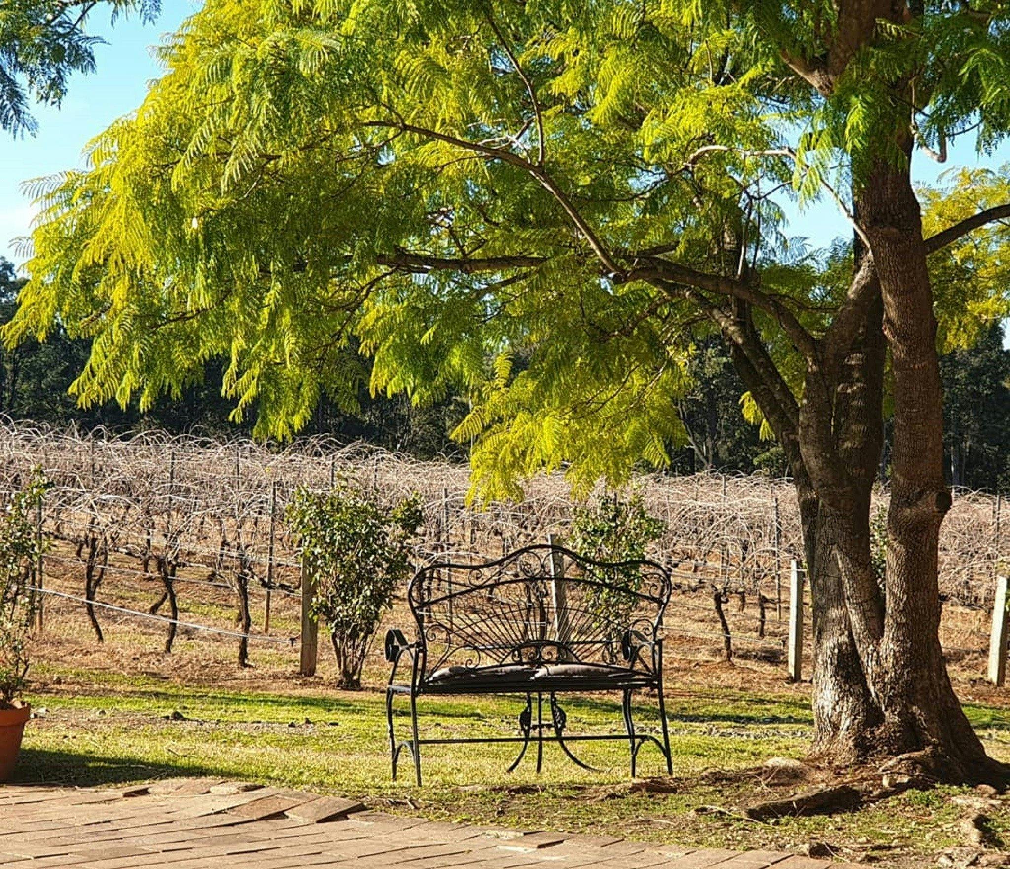 Beautiful Hunter Valley Days