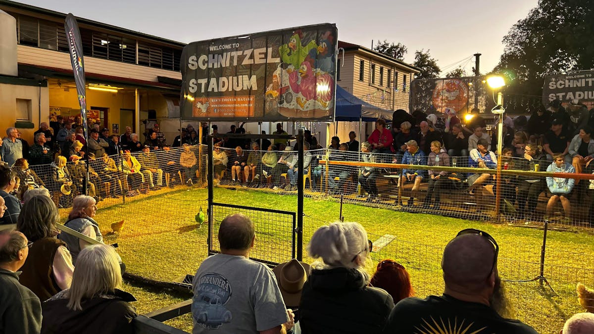 A picture of a crowd at Ben's Chicken Racing, Tambo Western Queensland Attraction