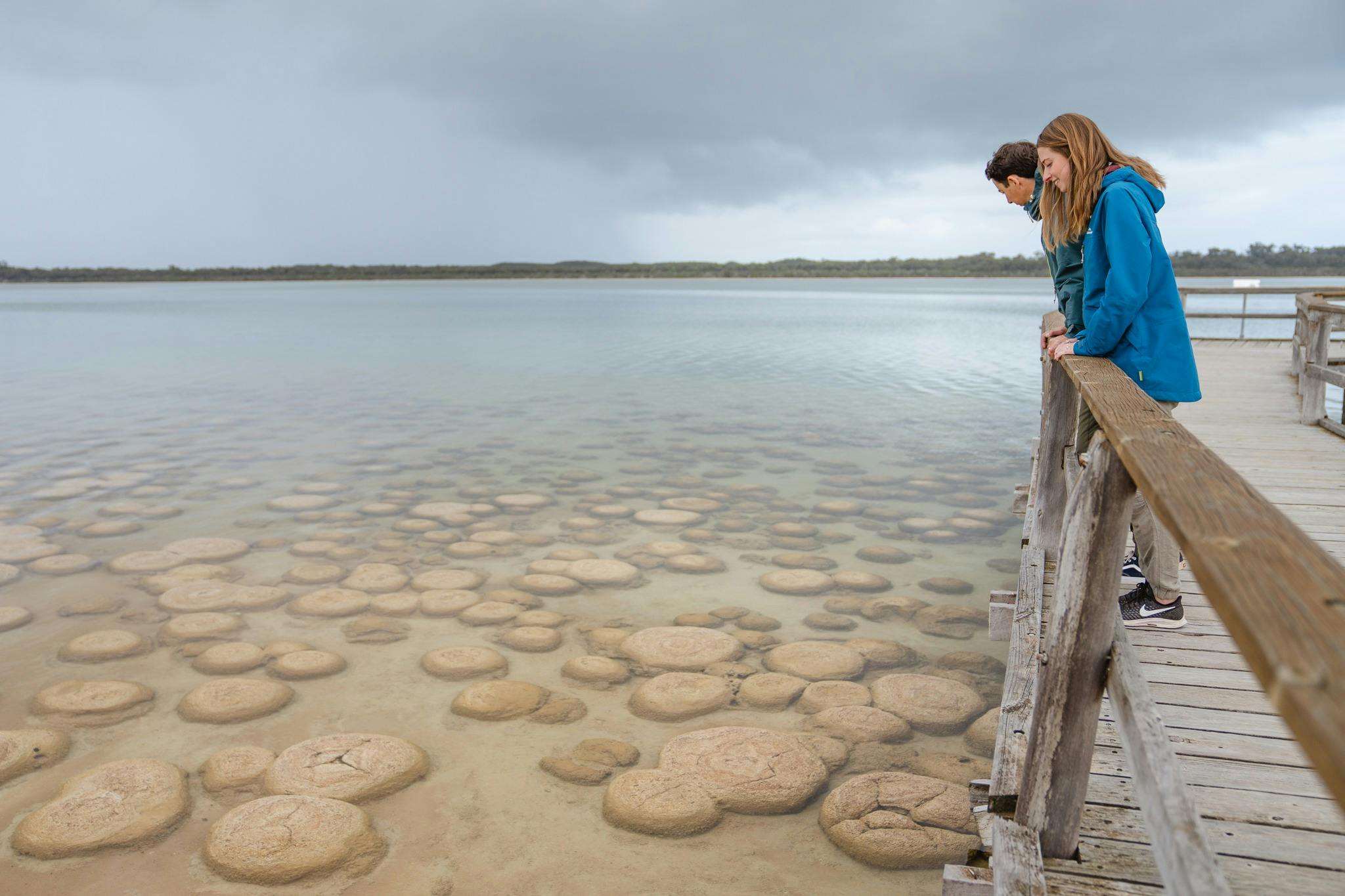 Lake Clifton Thrombolites