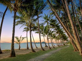 For the prettiest walk along the beach, a holiday in Palm Cove is a must.