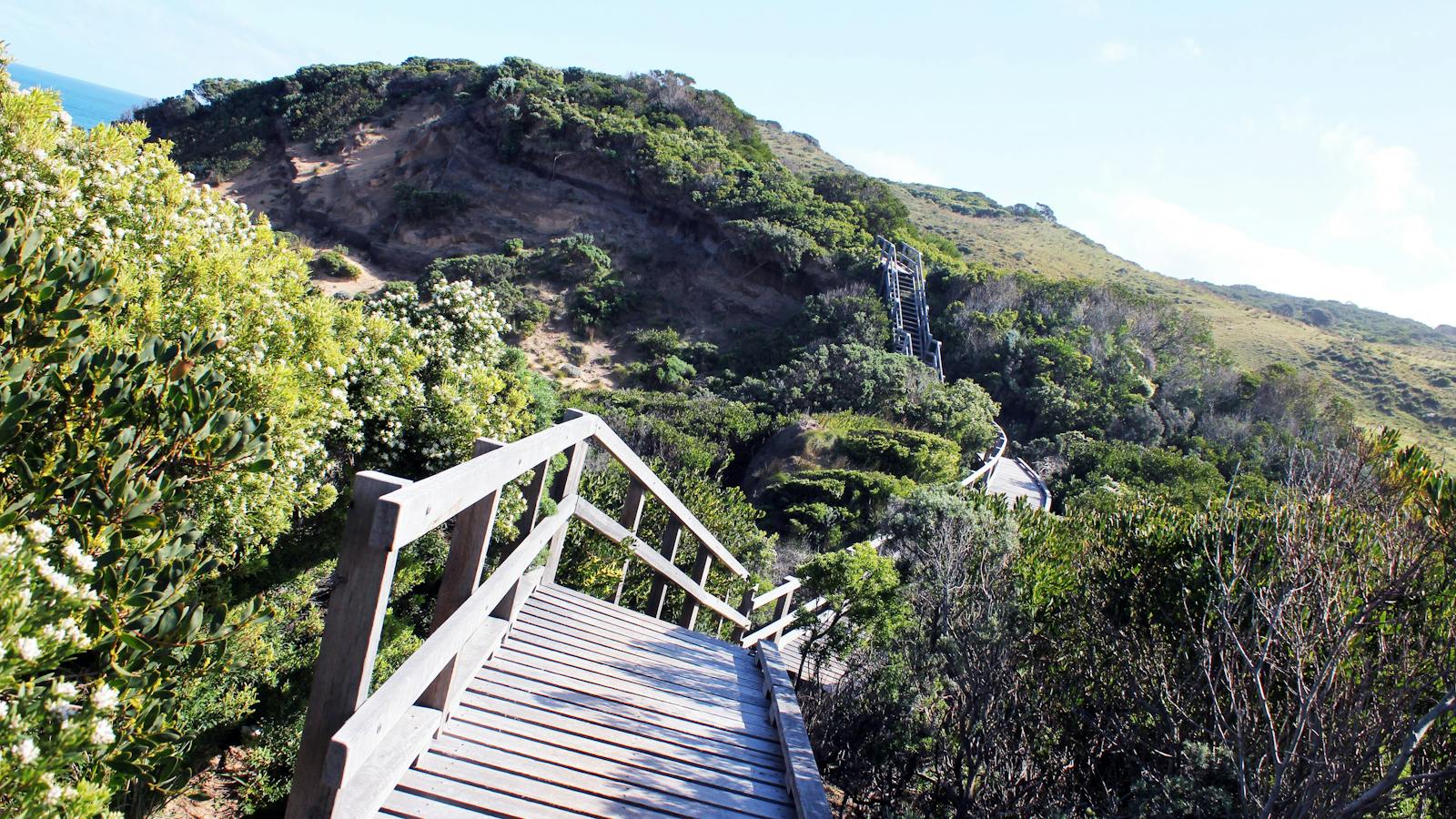 Steps Great Ocean Walk Walk91