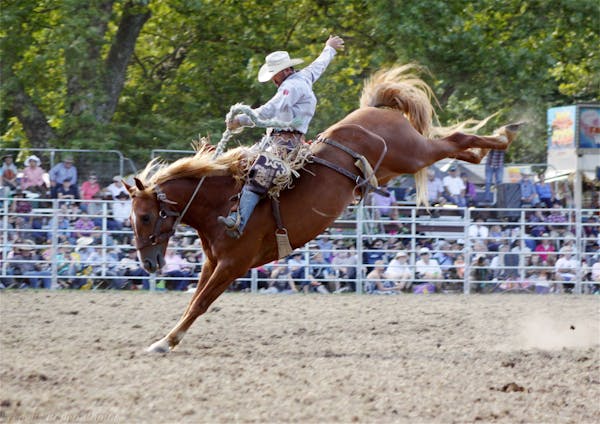 Tumbarumba Rodeo