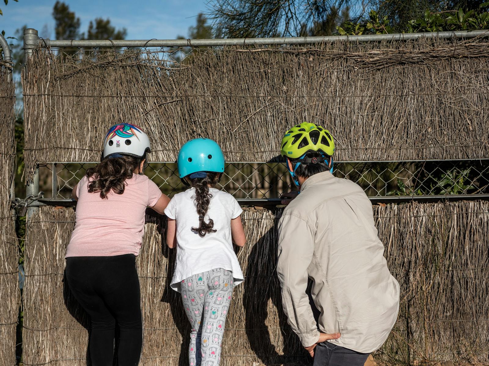 An adult and two children looking away from the camera peeking through a fence to look at the pond