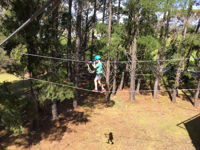 School Holidays Go Wild at SAH