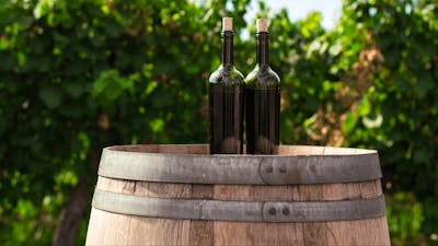 CGT Wine Tour - 2 bottles on a barrel