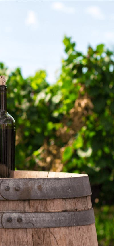 CGT Wine Tour - 2 bottles on a barrel