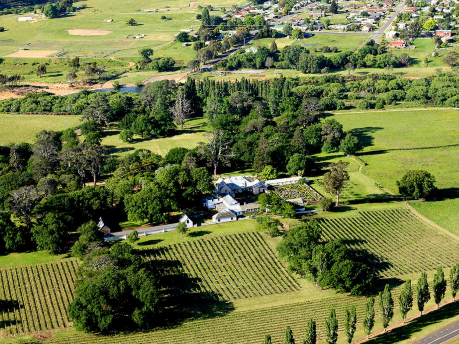 Aerial view of House im centre, surrounded by vineyard, large trees, grassy paddocks