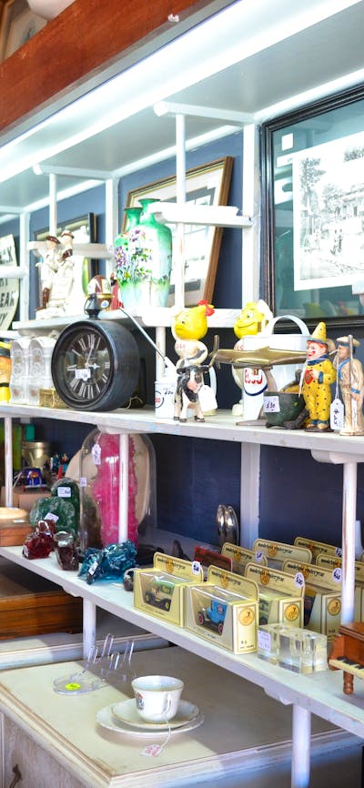 Junque and Disorderly