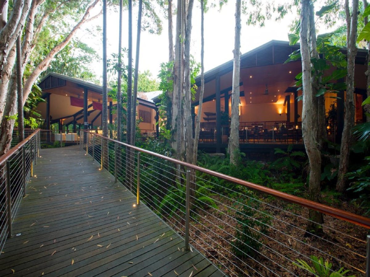 Rainforest Walkway Deck