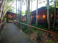 Rainforest Walkway Deck