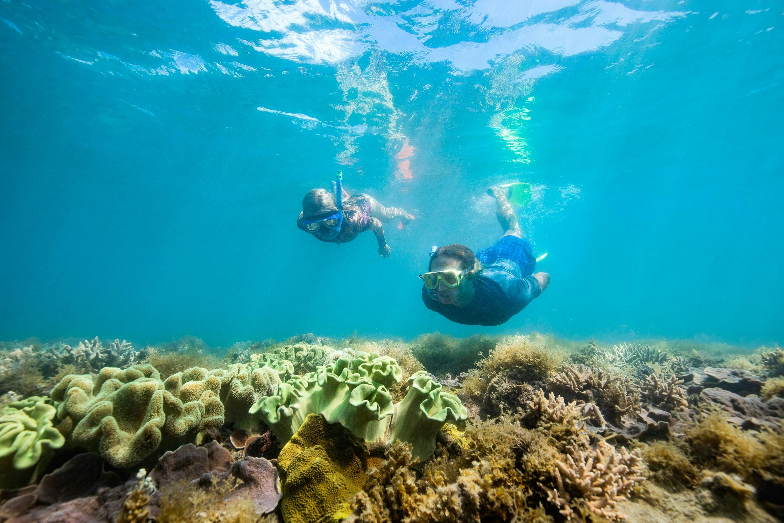 Explore the under water gardens