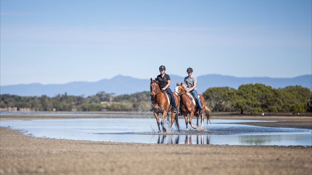 Beachmere horse riding Moreton Bay Region
